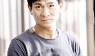 中老年男士假发