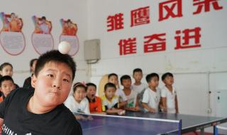 2020中国乒乓球队员名单 2020中国乒乓球队员名单